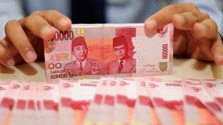 Forum Indonesia Untuk Transparansi Anggaran (FITRA) Riau menilai Pemprov Riau menghambur uang (foto/int)